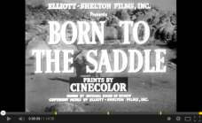 Born to the Saddle (1953)