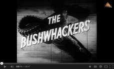 The Bushwhackers (1951)